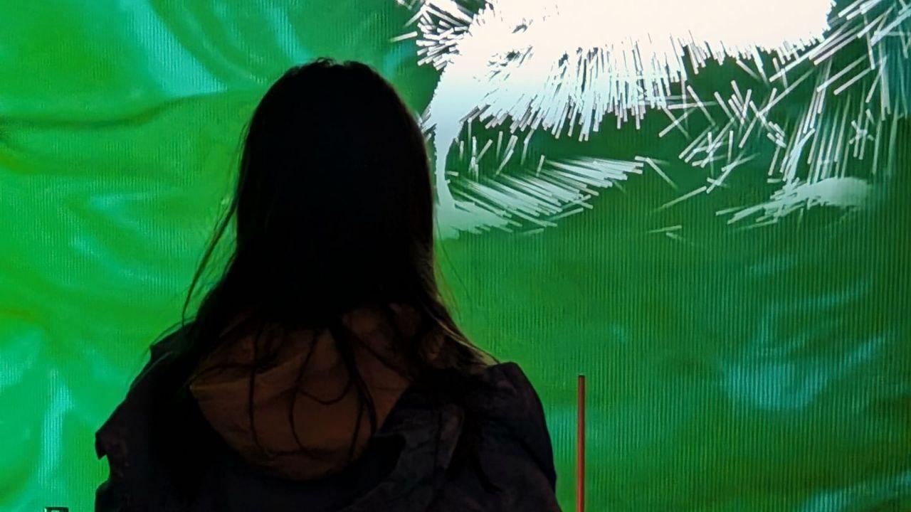 Silhouette of a visitor in front of a reactive green visual during a City of Toronto event at Assembly Hall